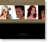 Client website template sample